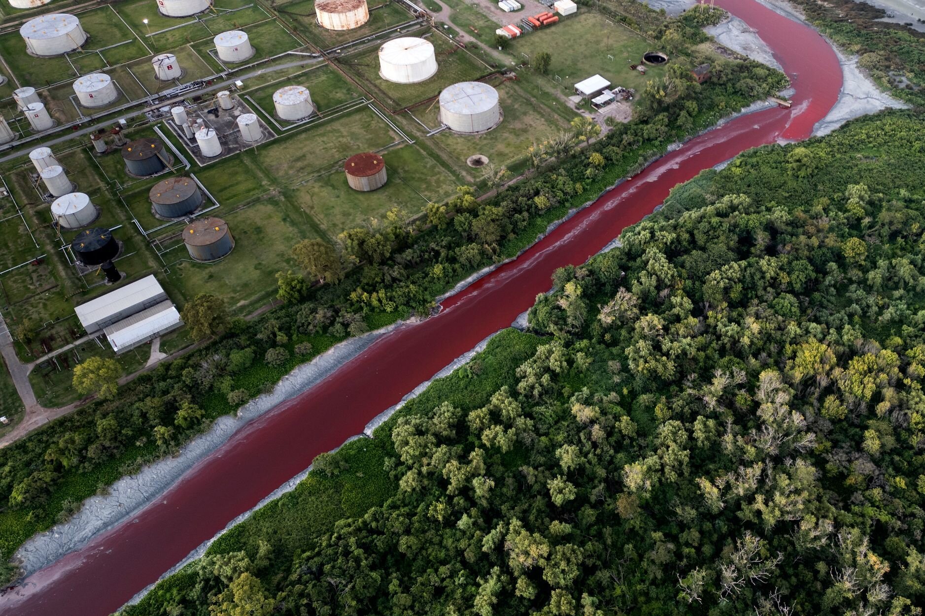 "Río hecho de sangre": Bach en Argentina se vuelve rojo
