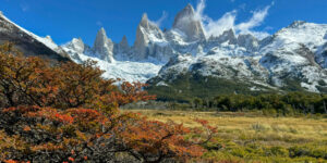 Nuevo dinosaurio de cuello largo descubierto en la Patagonia