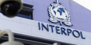 Qué son las alertas rojas que Argentina pidió a Interpol por Sea Lion